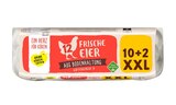 Frische Eier aus Bodenhaltung XXL  im aktuellen Lidl Prospekt für 1,99 €