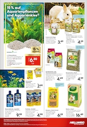 Wasserpflanzen Angebote im Prospekt "Lieblingsplatz" von Hellweg Wasserpflanzen Angebote im Prospekt "Lieblingsplatz" von Hellweg auf Seite 11