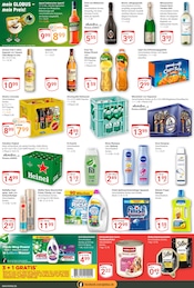 Mango im GLOBUS Prospekt in Bensheim Aktueller GLOBUS Prospekt mit Mango, "Aktuelle Angebote", Seite 6