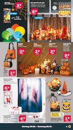 Halloween-Kürbis Angebot im aktuellen Netto mit dem Scottie Prospekt auf Seite 19