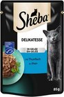 Katzennahrung im Angebot bei REWE in Monheim Katzennahrung Angebote von Sheba bei REWE Monheim für 0,49 €