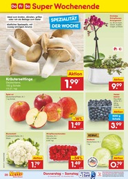 Netto Marken-Discount Pilze im Prospekt Netto Marken-Discount Pilze im Prospekt