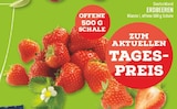 Erdbeeren im Angebot bei Marktkauf in Warendorf Erdbeeren Angebote bei Marktkauf Warendorf