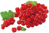 Rote Johannisbeeren im Angebot bei REWE in Gummersbach Rote Johannisbeeren Angebote von REWE Regional bei REWE Gummersbach für 3,49 €