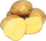 Kartoffeln im V-Markt Prospekt Speisefrühkartoffeln im aktuellen V-Markt Prospekt für 2,99 €