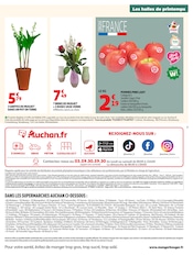 Plante Verte en promo dans le catalogue Auchan Supermarché à la page 7