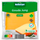 Gouda, jung von Hofburger im aktuellen ALDI SÜD Prospekt für 2,99 €