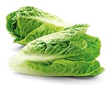 Aktuelles Bio Romana Salatherzen Angebot bei REWE in Mönchengladbach ab 1,49 €
