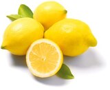 Zitronen Angebote von GO BIO bei Netto mit dem Scottie Rostock für 1,39 €