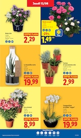 Promos Art De La Table dans le catalogue "XXL" de Lidl à la page 29