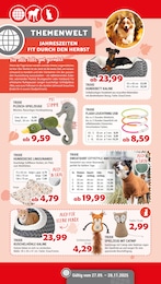 Hundekissen Angebot im aktuellen Zookauf Prospekt auf Seite 4