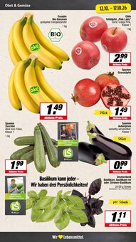 Äpfel im E center Prospekt "Aktuelle Angebote" mit 25 Seiten (Münster)