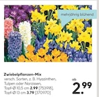 Aktuelles Zwiebelpflanzen-Mix Angebot bei Hellweg in Dortmund ab 2,99 €