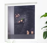Penny Saarlouis - Fensterfolie Angebot im Prospekt Fensterfolie bei Penny im Saarlouis Prospekt für 1,99 €