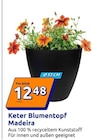 Blumentopf Madeira Angebote von Keter bei Action Aachen für 12,48 €