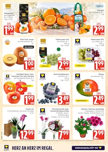 Marktkauf Prospekt der aktuellen Woche, gültig von 05.10.2026 bis 10.10.2026 Aktueller Marktkauf Prospekt "Top Angebote" mit 36 Seiten