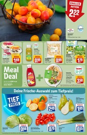 Ähnliche Vogelkäfig Angebote im Prospekt "Dein Markt" von REWE in Germering Ähnliche Angebote wie Vogelkäfig im Prospekt "Dein Markt" auf Seite 6 von REWE in Germering