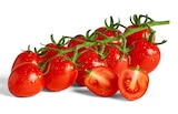 Roma-Rispentomaten Aromatica im Angebot bei Penny in Niederkassel Roma-Rispentomaten Aromatica Angebote von Marktliebe Regional bei Penny Niederkassel für 1,69 €