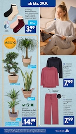 Aktueller ALDI SÜD Prospekt mit Palme, "Gutes für Alle.", Seite 13