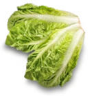 Span. Mini-Romanasalat oder Mini-Pak-Choi von Kaufland für 0,79 € bei Kaufland im Angebot Span. Mini-Romanasalat oder Mini-Pak-Choi von Kaufland im aktuellen Kaufland Prospekt