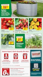 Aktueller toom Baumarkt Prospekt mit Tomaten, "Respekt, wer's selber macht.", Seite 2