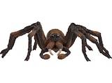Aragog Spielfigur Mehrfarbig im MediaMarkt Saturn Prospekt Aragog Spielfigur Mehrfarbig von SCHLEICH im aktuellen MediaMarkt Saturn Prospekt für 15,51 €