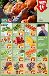 Aktueller REWE Prospekt mit Pflanzen, "Dein Markt", Seite 7