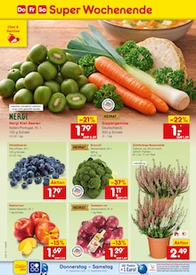 Schokolade im Netto Marken-Discount Prospekt "Aktuelle Angebote" mit 73 Seiten (Dortmund)