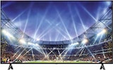 LED TV 55NU800B6LA Angebote von LG bei expert Leverkusen für 349,00 €