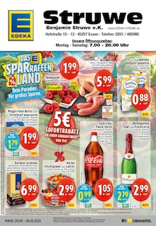 EDEKA Prospekt "Aktuelle Angebote" mit  Seiten (Essen)