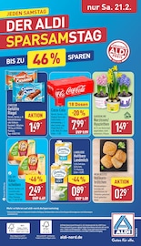 Coca Cola im ALDI Nord Prospekt in Cuxhaven Aktueller ALDI Nord Prospekt mit Coca Cola, "Aktuelle Angebote", Seite 33