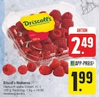 Himbeeren bei EDEKA im Limbach Prospekt für 1,99 €