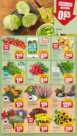 Blumen im REWE Prospekt in Hanau Aktueller REWE Prospekt mit Blumen, "Dein Markt", Seite 9