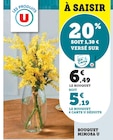 U Express Seyssinet-Pariset - Promo Bouquet Mimosa Promo Bouquet Mimosa à 5,19 € dans le catalogue U Express à Seyssinet-Pariset