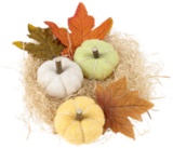 Herbst-Deko-Mix für 2,99 € bei Thomas Philipps im Angebot Herbst-Deko-Mix im aktuellen Thomas Philipps Prospekt