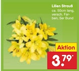 Aktuelle Blumen Angebote bei Netto Marken-Discount in Mönchengladbach Aktuelles Lilien Strauß Angebot bei Netto Marken-Discount in Mönchengladbach ab 3,79 €