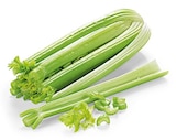 Aktuelle Gemüse Angebote bei REWE in Mönchengladbach Aktuelles Bio Staudensellerie Angebot bei REWE in Mönchengladbach ab 1,89 €
