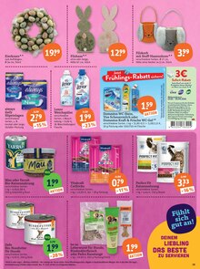 Lenor im aktuellen tegut Prospekt (Fürth) Lenor im tegut Prospekt "tegut… gute Lebensmittel" mit 25 Seiten (Fürth)
