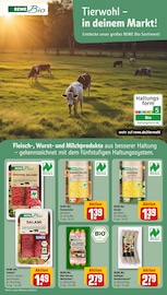 Bratwurst im REWE Prospekt in Würzburg Aktueller REWE Prospekt mit Bratwurst, "Dein Markt", Seite 27