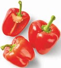 nah&frisch Balve - Paprika rot Angebot im Prospekt Paprika rot bei nah&frisch im Balve Prospekt für 1,88 €