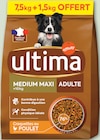 Croquettes pour chien adulte médium maxi au poulet - ULTIMA - Netto à Lyon Croquettes pour chien adulte médium maxi au poulet - ULTIMA en promo chez Netto Lyon à 19,98 €