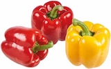 Paprika „Duo“ rot-gelb-rot im Angebot bei EDEKA in Borken Paprika „Duo“ rot-gelb-rot Angebote von LS bei EDEKA Borken für 1,77 €