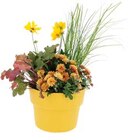 Promo Composition dans pot Cocoripot à 21,95 € dans le catalogue LaMaison.fr à Valognes