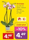 Orchidee Angebote bei Netto Marken-Discount Bochum für 4,49 €