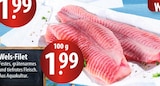 Wels-Filet bei famila Nordost im Wedel Prospekt für 1,99 €