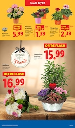 Offre Fleurs Artificielles dans le catalogue Lidl du moment à la page 31