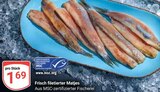 Frisch filetierter Matjes im Angebot bei GLOBUS in Krefeld Frisch filetierter Matjes Angebote bei GLOBUS Krefeld für 1,69 €