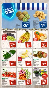 Kartoffeln im aktuellen nahkauf Prospekt (Offenbach (Main)) Kartoffeln im nahkauf Prospekt "nichts liegt näher" mit 8 Seiten (Offenbach (Main))