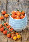 Trio de tomates cerises Gusta Mini - Les Saveurs du Potager en promo chez LaMaison.fr Caen à 3,50 €