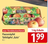 Pausenäpfel oder Tafeläpfel "Gala" bei famila Nordost im Wolgast Prospekt für 1,99 €